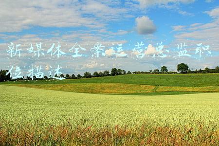 品牌全案策划公司(上海品牌全案策划公司排名，中国三大广告公司排行榜)
