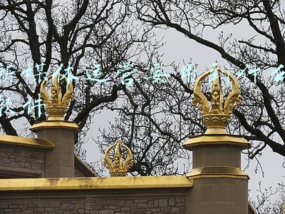 新媒体制作软件(入行新媒体运营这5个常用APP，一定要学会)