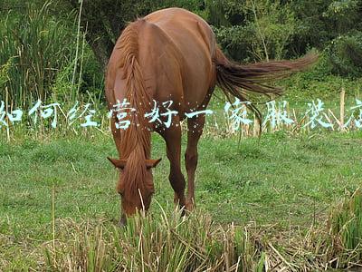 经营服装店单机游戏，经营服装店游戏手机版下载