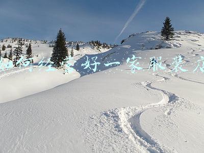 淘宝经营女装服装店-淘宝网服装店女装