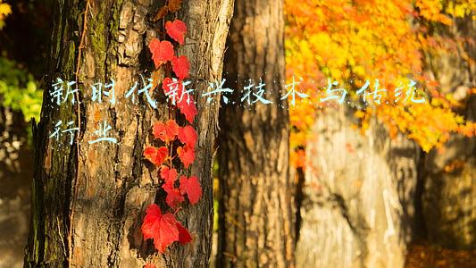 5g时代新兴行业(上山下海飞天入地，5G的这些行业应用你可能都想不到)