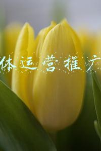 新媒体运营推广计划