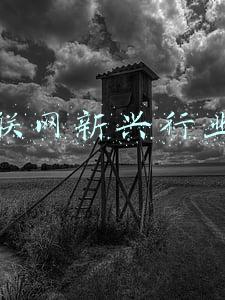 互联网新兴产业(老祁讲科技｜互联网行业2021终大盘点 新技术 新鲜事儿 薪资)