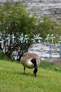 权威统计新兴行业数据