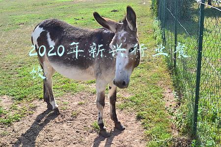 2020年中国餐饮市场(2021年，88.5万家餐企“阵亡”了)