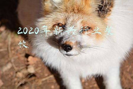 2020年连锁餐饮发展趋势(连锁餐饮业态全图谱分析：赛道，空间，周期)