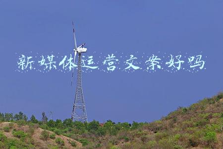 新媒体运营文案好吗