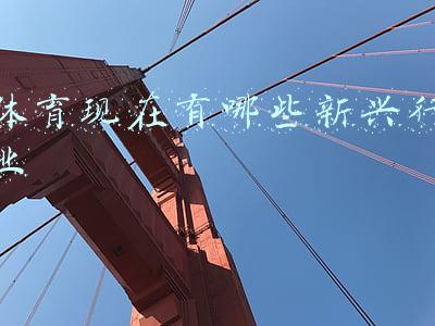 体育现在有哪些新兴行业