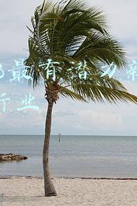 深入挖掘新兴消费潜力(建设新兴消费城 提升城市发展活力和美誉度)