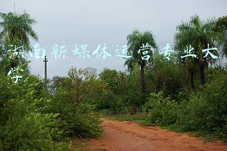 湖南省新媒体协会(探访湖南“南大门”发展“密码”，省报业协会组织省内百余家媒体走进福城郴州)