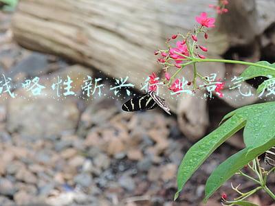 经营战略性框架协议(湖北省工业建筑集团有限公司与丹投公司成功签订《战略性合作框架协议》)