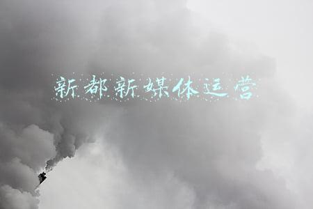 新都新媒体运营