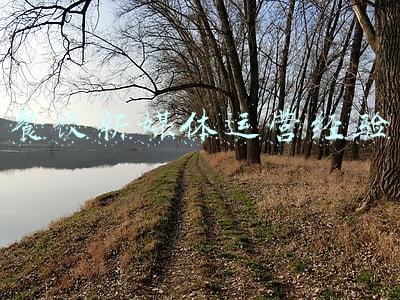 餐饮新媒体运营岗位职责(人民快评：在寒假培个训，咋就成了人生污点？)