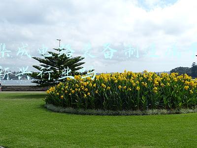 芯片属于制造业吗(中国制造业有多强大？短短1年时间，美的集团芯片产量约1千万颗)