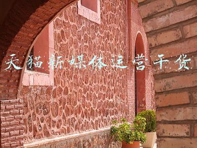 天猫新店铺引流方法(「天猫淘宝」新店运营规划和引流方案)