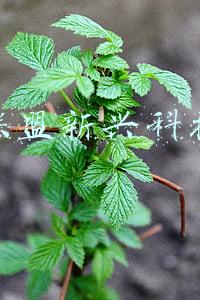 融信联盟新兴科技行业