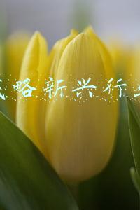 国家战略新兴产业目录2019(永信至诚新三板退市转科创板，首轮问询连遭14问)
