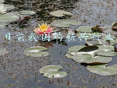 目前我国的金融监管体系(不确定性中最大的确定性——外资金融机构投资中国热情与日俱增的背后)
