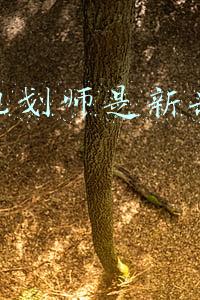 学业规划师培训(2020学业规划导师暨新高考选科、志愿填报培训班报名啦)
