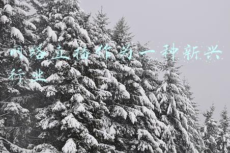 网络直播的兴起与发展(直播，从2021到2022)