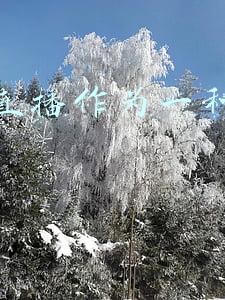 网络直播行业自律公约(共享严重违法主播信息！抖音、快手、京东发布网络直播自律公约)