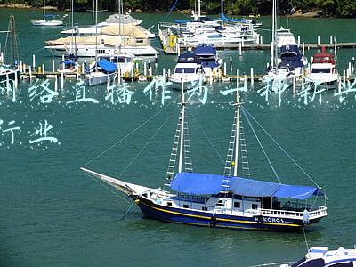 网络直播属于什么行业(直播带货乱象多，彭静委员建议：出台专门的网络直播行业法律)