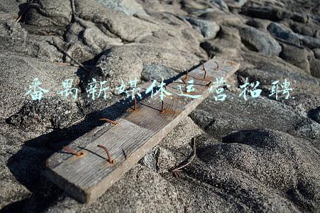 番禺新媒体运营招聘