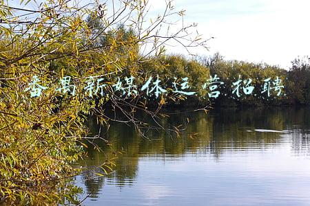 番禺新媒体运营招聘