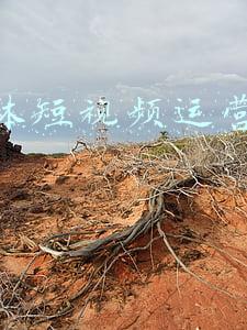 新媒体短视频是什么(为什么新媒体的风口是短视频，而不是文章呢？)