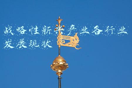 战略性新兴产业各行业发展现状