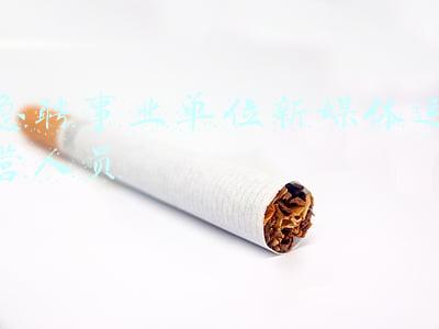 急聘事业单位新媒体运营人员