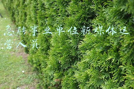 急聘事业单位新媒体运营人员