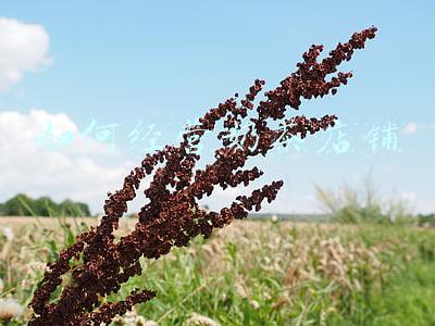 奶茶店铺设计装修：奶茶店铺设计