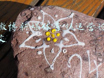 微博营销的论文(「轻松阅读」翟天临发微博：我知道写论文挺难的...)