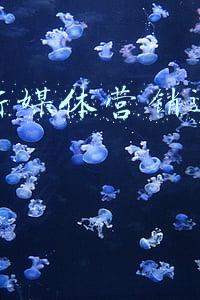 新媒体营销毕业论文(干货！电子商务商环境下的市场营销论文探讨)