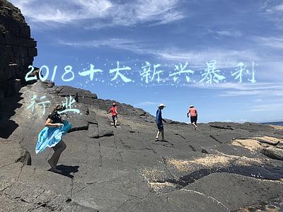 2018十大新兴暴利行业