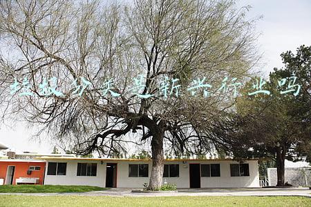 和垃圾分类相关的新兴企业(西安经开区经建物业公司积极开展“垃圾分类”专项宣传活动)