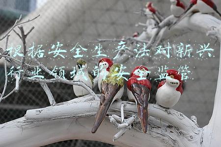 安全监督管理部门和对有关行业领域(《广安市安全生产综合监督管理实施办法》)