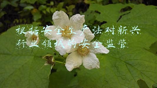 根据安全生产法对新兴行业领域的安全监管