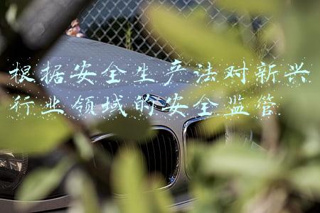 安全生产法 新兴行业(新工业化与“十四五”时期中国制造业发展方向选择)