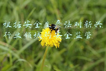 新兴领域安全(多措并举守护安全 确保群众祥和过节)