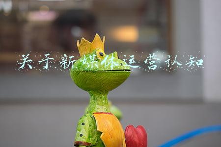 新媒体运营职业认知(谈谈我对自己做自媒体的认识)
