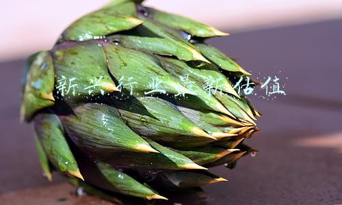 新兴行业最新估值