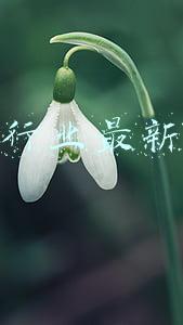 新兴行业最新估值