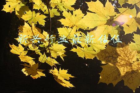 新兴行业最新估值