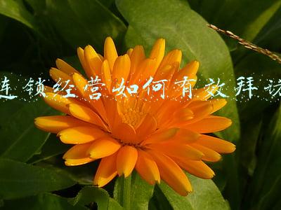 如何有效拜访门店 进店拜访8步骤