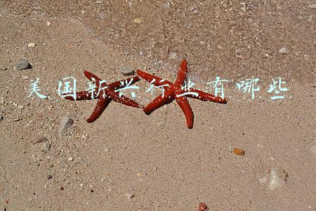 美国新兴产业(美官员：美国想保住超级大国地位，这5项技术必须领先)