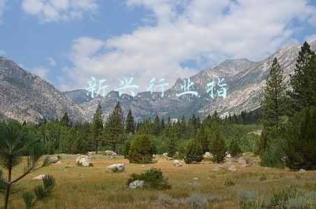 新兴行业指