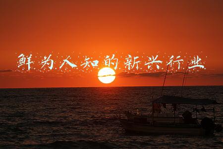 鲜为人知的意思(2021《中考精典》上成语)