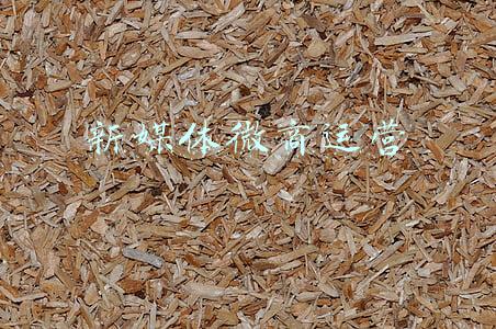 新媒体未来(社科院蓝皮书发布新媒体发展十大未来展望)
